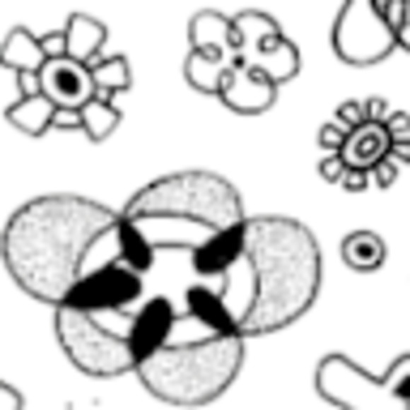 Meet your Posher, Natalie - Picture 1 of 1